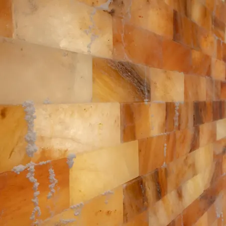 Harmonija * 브르드니크